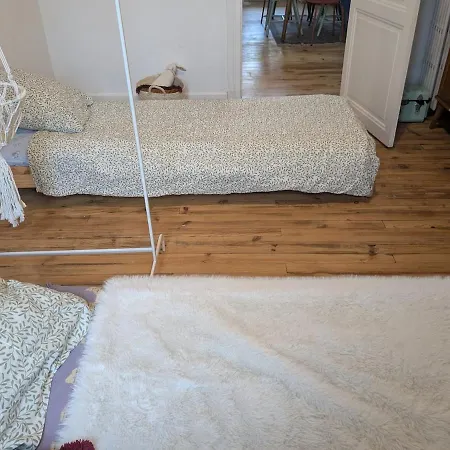 Grand F3 Ferrand Centre Et Garage Salins クレルモン・フェラン